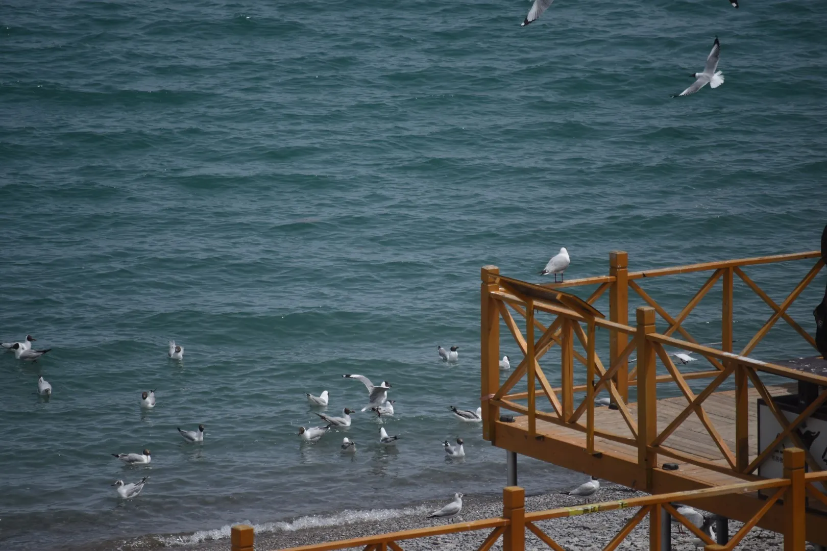 Cover Image of the Post